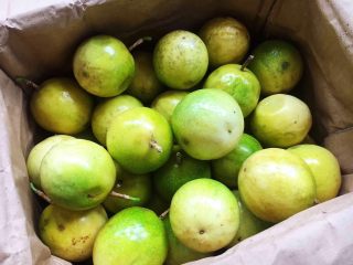 冬喝金色百香果蜂蜜茶 